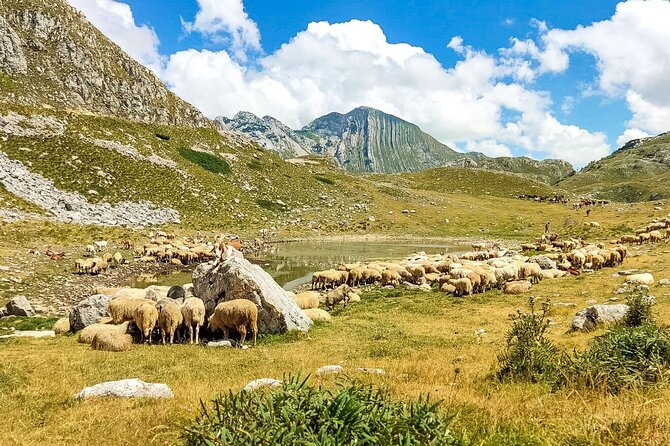 1-Day Montenegro Hiking Tour to Durmitor National Park - Coffee, breakfast, and the road inland