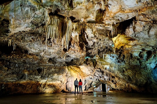 1-Hour Guided Lipa Cave Adventure in Montenegro - The train from the parking lot to the cave