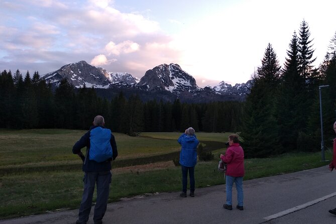 8-Day Tour Montenegro Durmitor Mountain and Adriatic Coast - Tara Canyon, Ostrog Monastery, and Perast