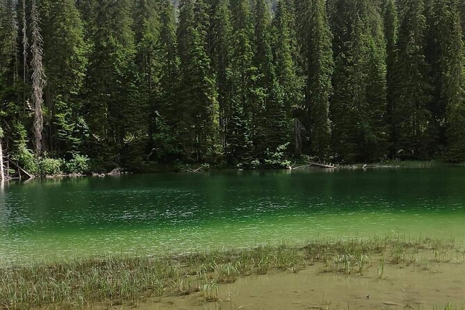Biogradska Gora National Park Tour with Optional Add-Ons - Biograd Lake and the easy forest walk