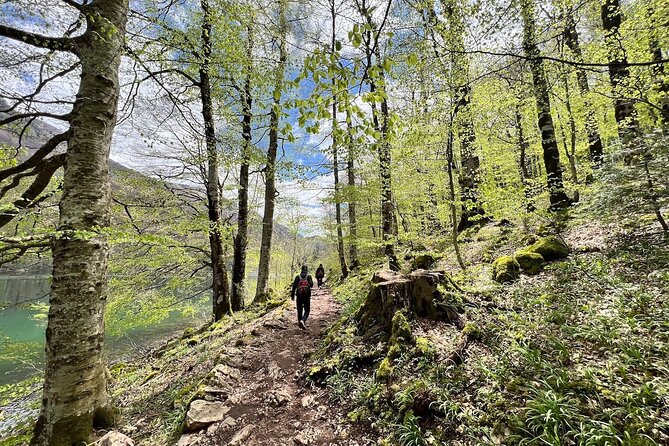 Biogradska Gora National Park Tour with Optional Add-Ons - Is $165.65 per person good value?