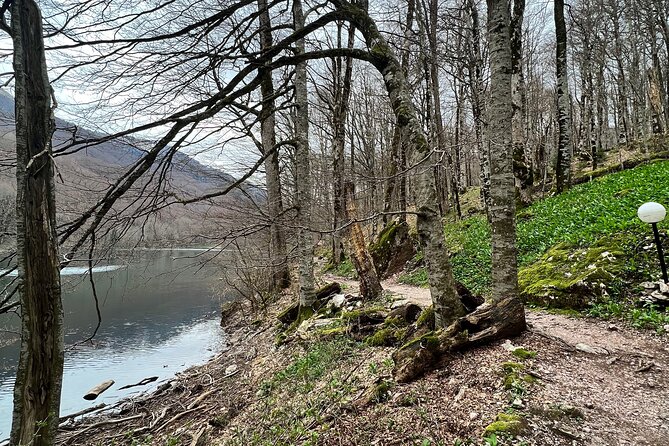 Biogradska Gora National Park Tour with Optional Add-Ons - Who should book this experience?