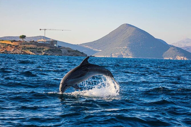Blue Cave Kotor & Lady of the Rocks Private Tour (up to 9 people) - Mamula Island from the water
