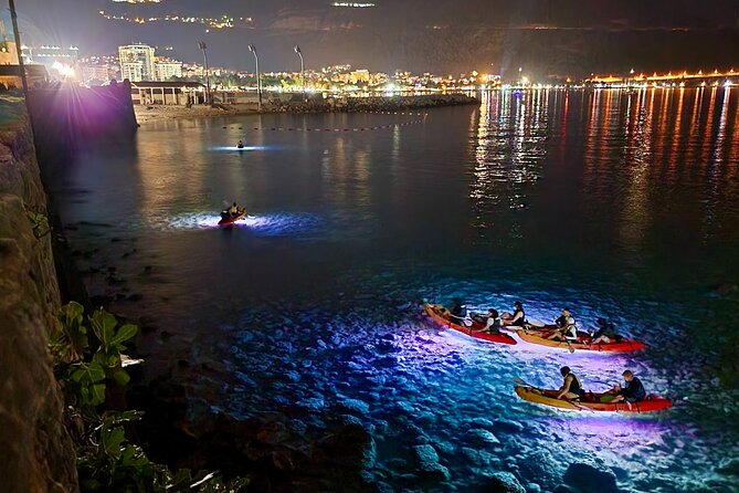 Budva: 2-Hour «Night Lights» Kayak Tour - Who will enjoy this most