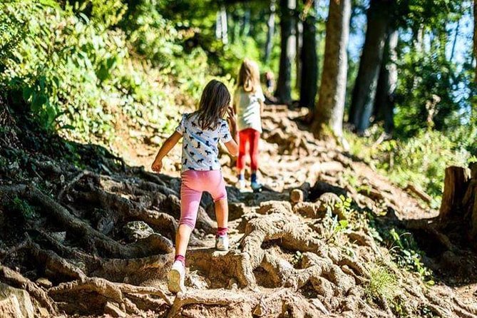 Durmitor National Park hiking tour - easy to moderate - Why this Durmitor hike works well