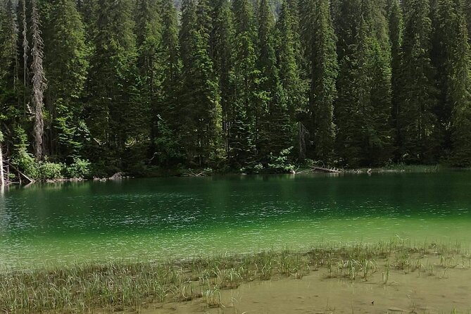 Durmitor National Park hiking tour - easy to moderate - Price and practical value at $115.93