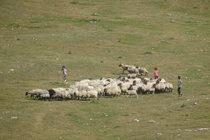 Durmitor NP private tour- Among Katuns, Shepherds and Geological Miracles - Who should book this Durmitor day trip?