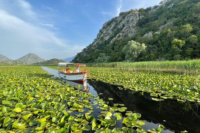 Explore Skadar Lake in Private 2 hour Boat Cruise - Bird reserve, water lilies, and the Moraca River
