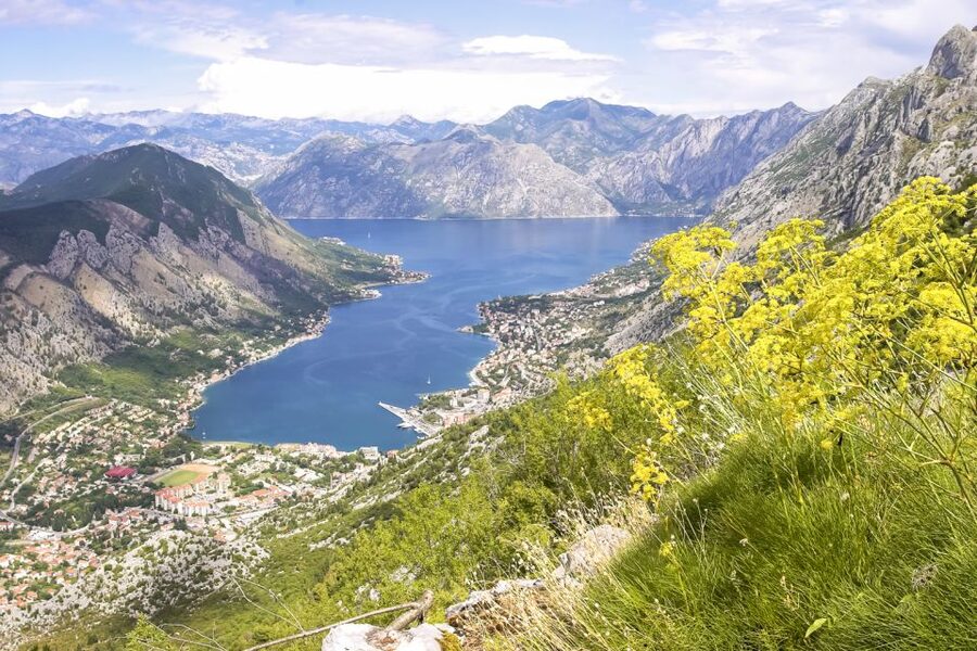 From Dubrovnik: Montenegro Day Trip - Who should book this Montenegro day trip?