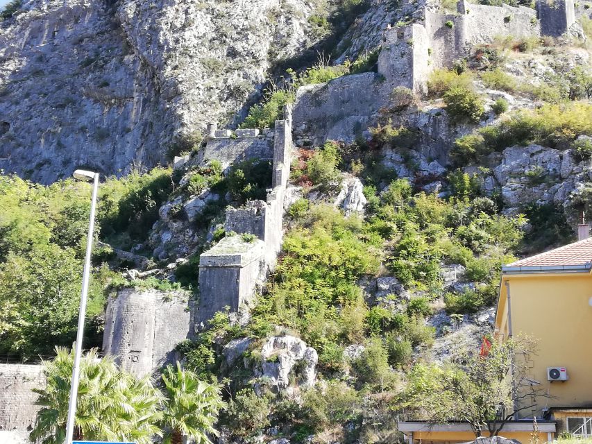 From Dubrovnik: Montenegro, Kotor City Tour - Weather, timing, and how to plan your expectations