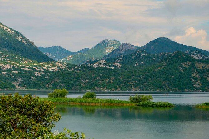 From Virpazar: Visit Karuč, the hidden pearl of Lake Skadar - Leaving Virpazar through reeds and willows