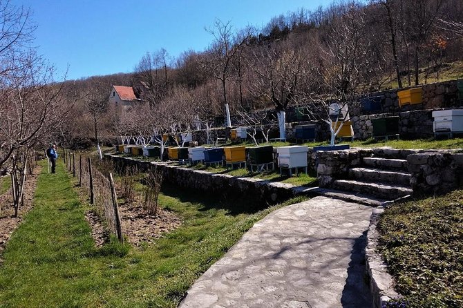 Gastronomy and Sightseeing in Montenegro - Lake Skadar & Cetinje Private Tour - Why this private Montenegro route works