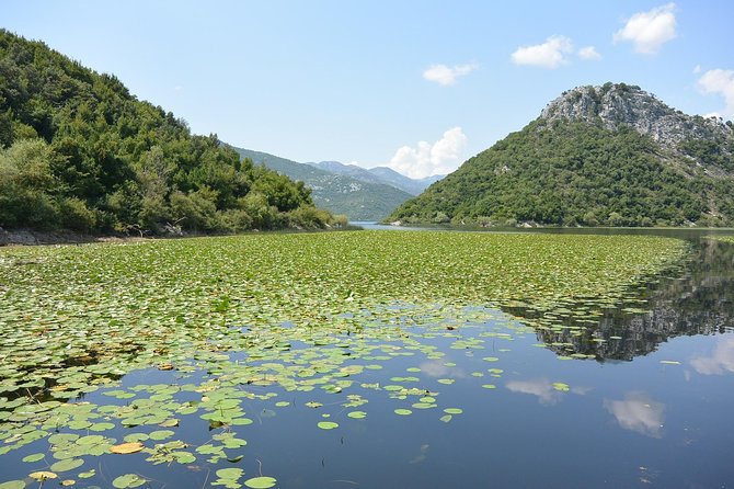 Gastronomy and Sightseeing in Montenegro - Lake Skadar & Cetinje Private Tour - Cetinje, the former royal center
