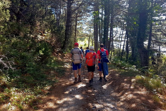 Hiking Vrmac peninsula with panoramic view on Kotor bay - Views of Kotor and Tivat along the route