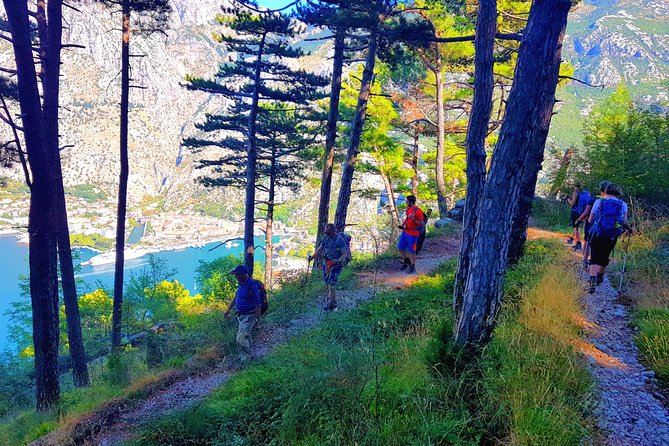 Hiking Vrmac peninsula with panoramic view on Kotor bay - When this tour makes sense in your Kotor plans