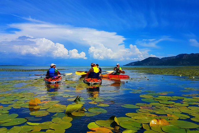 Kayak Guided Tour Skadar lake - Adventure in National park - Fort Lesendro and a slower sightseeing pause