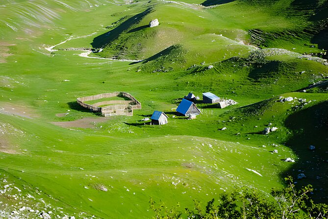 Kotor-Njegusi-Lovcen Tour - Why this four-hour mountain trip is worth your time