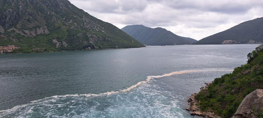 Montenegro: Perast & Kotor - Day Trip from Dubrovnik - Practical ways to make the day better