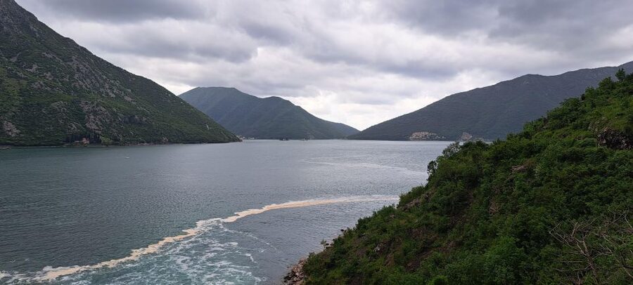 Montenegro: Perast & Kotor - Day Trip from Dubrovnik - Risan and the story of Queen Teuta