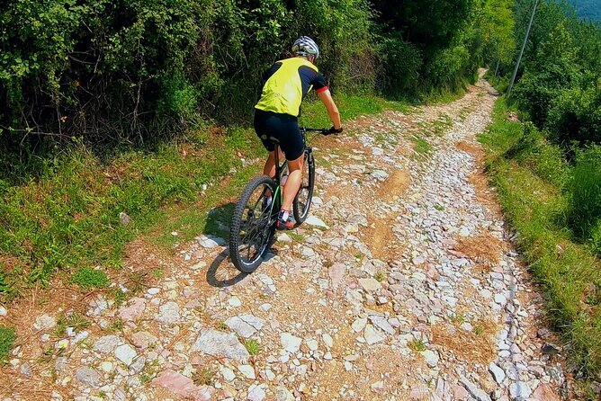 Mountain Biking on Vrmac peninsula - Panoramic view on Kotor bay - Why Vrmac is a smart change of pace from Kotor