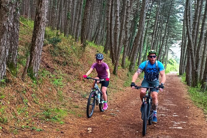 Mountain Biking on Vrmac peninsula - Panoramic view on Kotor bay - Starting at Trojica near Fort Trojica