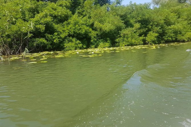 National park Skadar Lake (Private tour) - The boat trip: the detail to clarify before paying