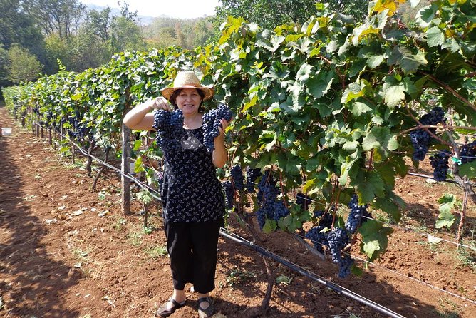 National parks and wine tasting (NP Lovcen, NP Skadar lake, Cetinje, Njegusi) - Timing, comfort, and the six-hour limit