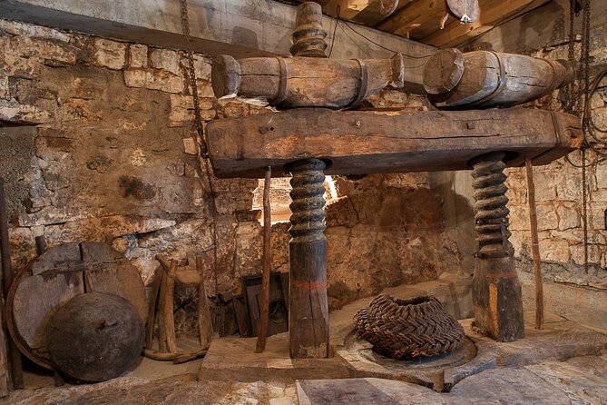 Olive oil farm to fork experience & short walking tour of Kotor - Seeing the old mill and the modern press