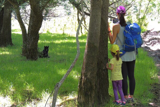 Podgorica Historic, Safari and Winery tour - Skadar lake and River Crnojevica - Why this Podgorica day trip works