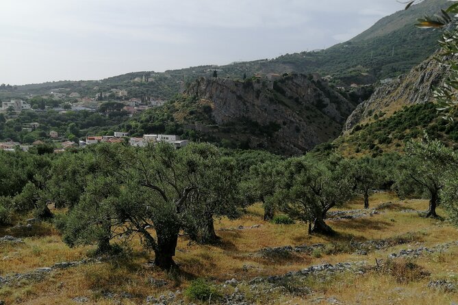 Port of Bar tour - Explore Adriatic area - Bar and Ulcinj tour - Key points to know before booking