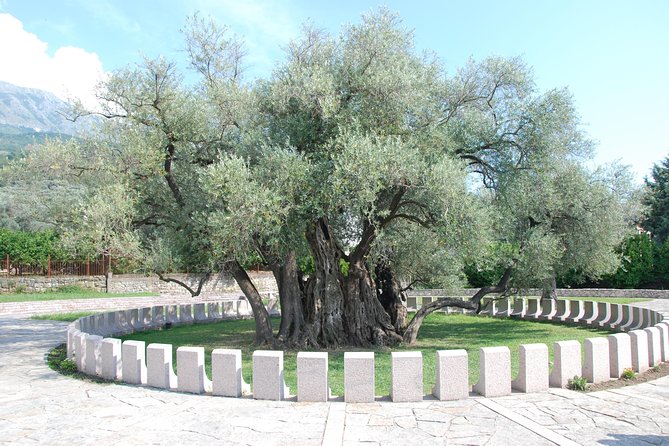 Port of Bar tour - Explore Adriatic area - Bar and Ulcinj tour - What the $295.87 price means