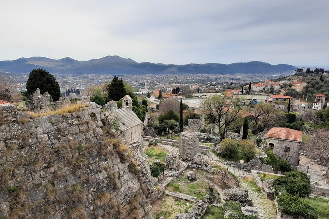 Port of Bar tour - Explore Adriatic area - Bar and Ulcinj tour - The Old Olive Tree: ten minutes with an ancient survivor