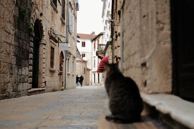 Port of Kotor - Kotor-Perast-Our lady of the rocks private tour - Is $264.34 per person good value?