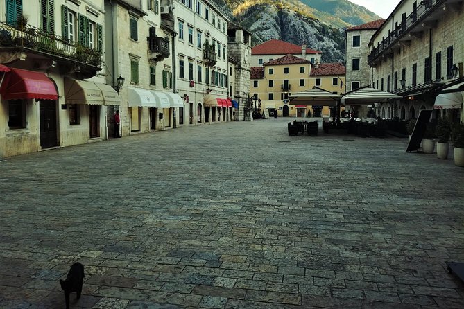 Port of Kotor - Kotor-Perast-Our lady of the rocks private tour - Who will enjoy this tour most?