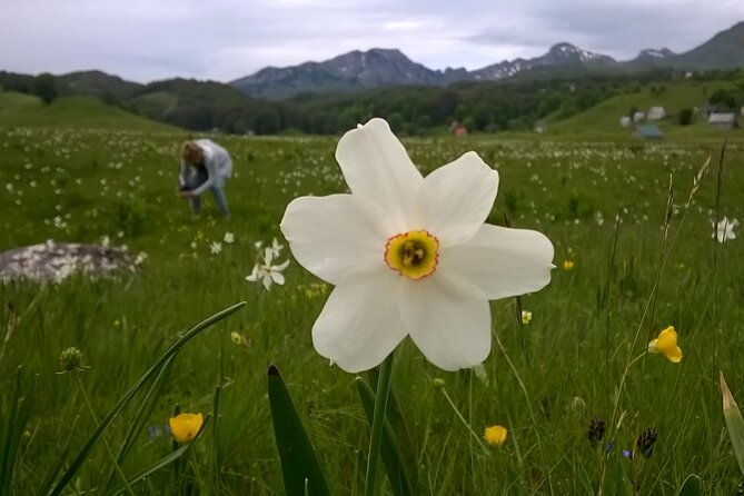 Private Full-Day Tour in Moraca and Tara Canyons, Durmitor & Biogradska Gora NP - Crno Jezero, Durmitor’s calm final stop