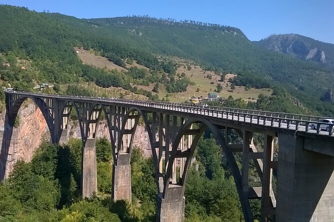 Private Full-Day Tour in Moraca and Tara Canyons, Durmitor & Biogradska Gora NP - What Nino adds to a long day