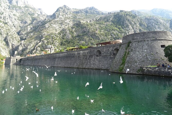 Private Full-Day Tour -Kotor tour, Saint Stefan & NP Skadar Lake - Practical details before you reserve