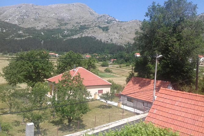 Private National Park Lovcen with food and wine tasting - Why the private format earns its price