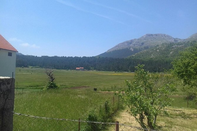 Private National Park Lovcen with food and wine tasting - What to expect from the road and weather