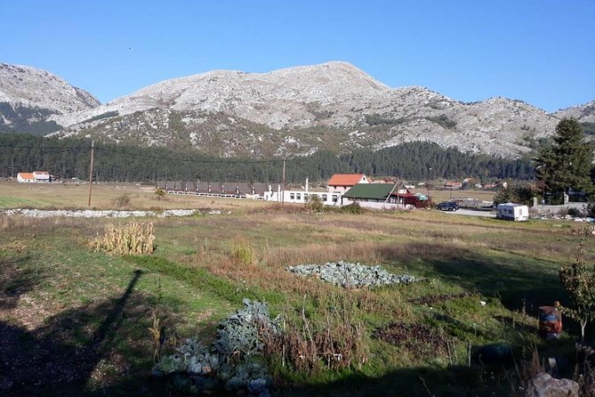 Private tour: Homemade food and wine tasting at my family home - From Kotor Port to the Old Mountain Road