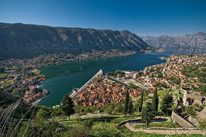 Private Transfer from Kotor to Tivat airport - Price, group size, and real value