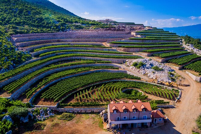 Private Wine Tasting Activity at Lipovac Winery - Why Lipovac Winery is worth the trip