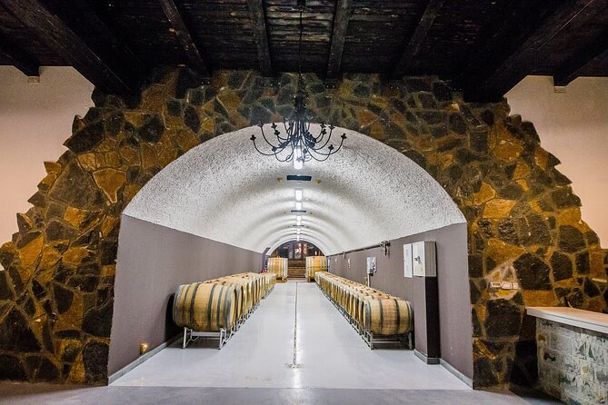 Private Wine Tasting Activity at Lipovac Winery - The bottling hall shows the modern side