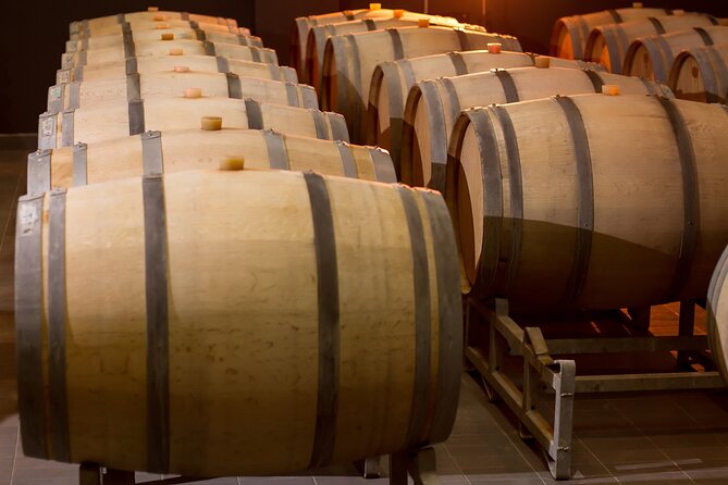 Private Wine Tasting Activity at Lipovac Winery - Qvevri and amphoras: old vessels, different traditions