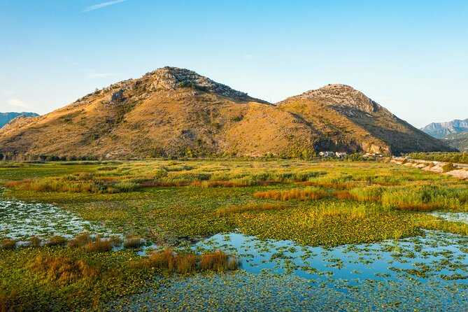 Skadar Lake National Park Guided Boat Tour with Wooden Boat - Kamenik’s lilies and the wild islands