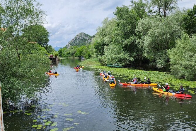 Skadar Lake on kayaks Experience with Spectacular Views - From river to open Skadar Lake