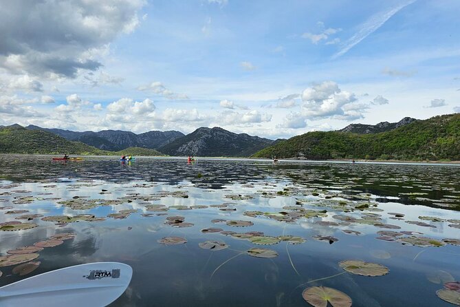 Skadar Lake on kayaks Experience with Spectacular Views - The morning ride from Budva to Zabljak Crnojevica