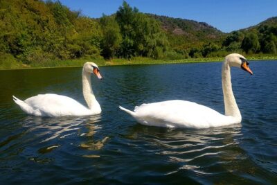 Skadar Lake & Virpazar return trip from Podgorica city