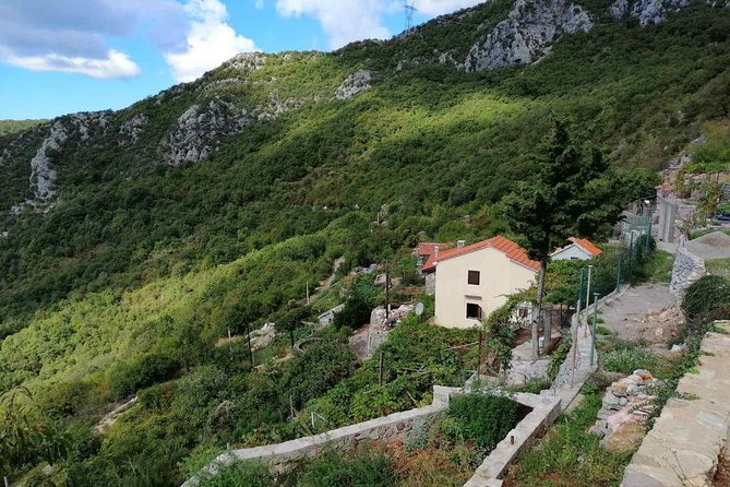 Unique gastro experience with locals in high hills above Budva! - Stanjevici Monastery at 600 Meters