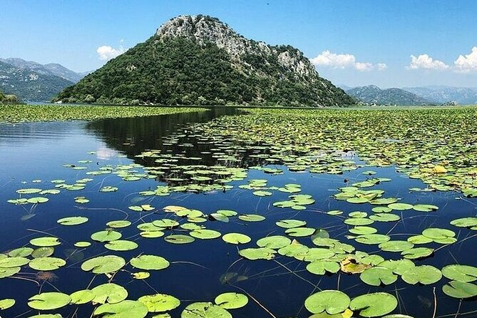 Virpazar Skadar Lake National Park Guided Boat Tour - Starting in Virpazar, where the lake begins quietly